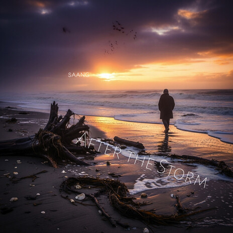 Broken Compass cover art