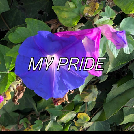 My Pride cover art