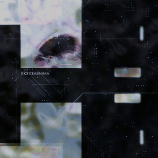 Pad Glitter cover art