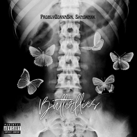 Butterflies ft. Problygonnasin cover art