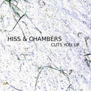 Cuts You Up cover art
