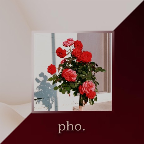 pho. cover art