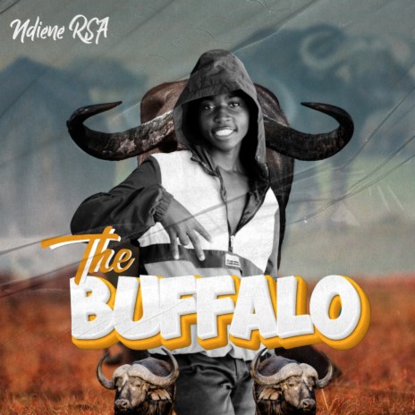 Ari Nwese ft. Black Gee SA, Pross boy, Duki Da Baga & Lil tee DJ cover art
