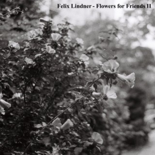 Flowers for Friends II