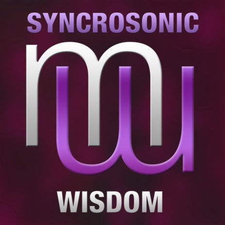 Wisdom (Original Mix) cover art