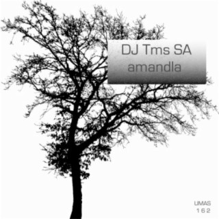 Amandla