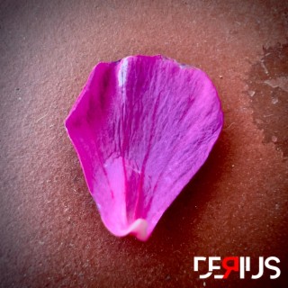 Petal