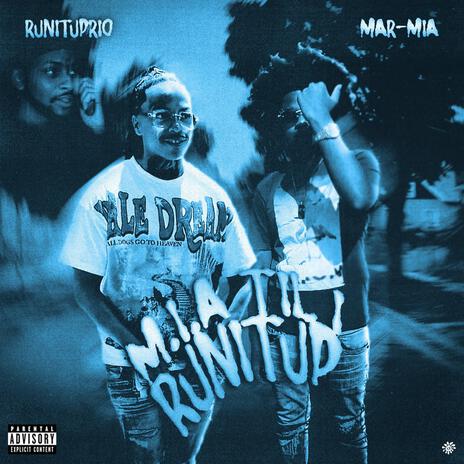 Put That Work In ft. RunItUp Rio cover art