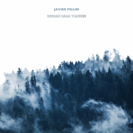 Hollow cover art