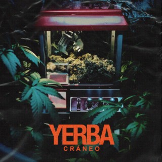 YERBA cover art