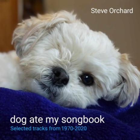 New Number One ft. David Orchard