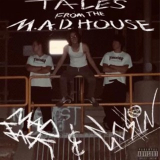 The Madlands of Sac cover art