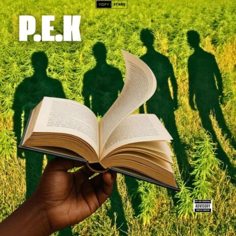La Page cover art