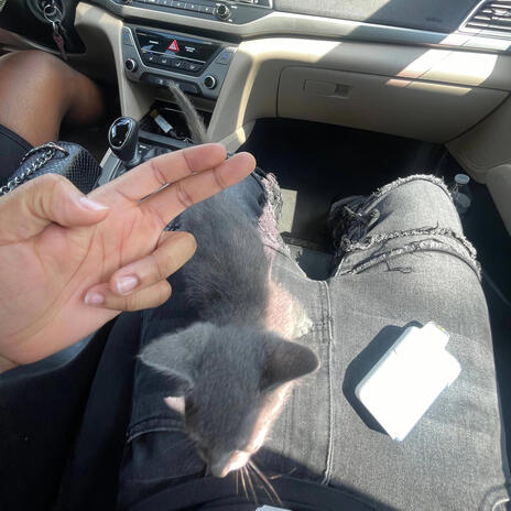 Throw up da sett cover art