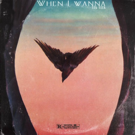 When I Wanna cover art