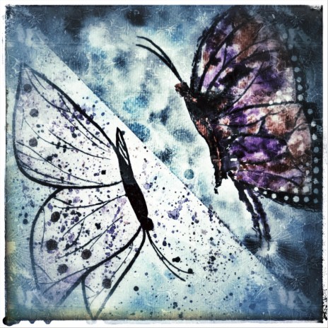 Disparity cover art