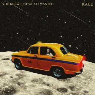 You Knew Just What I Wanted (Acoustic) cover art