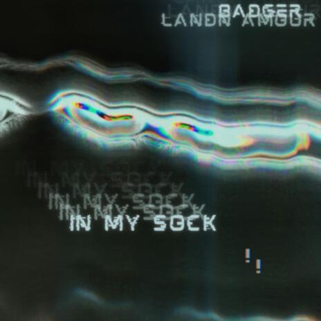 In My Sock ft. Landn Amour cover art