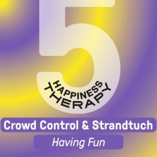 Having Fun ft. Strandtuch cover art