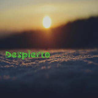 Despierto