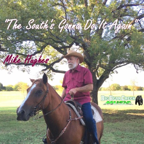 The South's Gonna Do It Again cover art