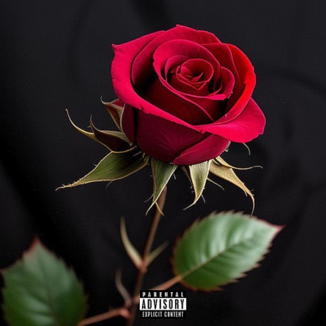 Pain & Vocals cover art