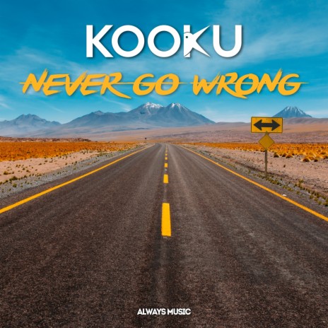 Never Go Wrong (HypeOn Airplay Tech Remix) cover art