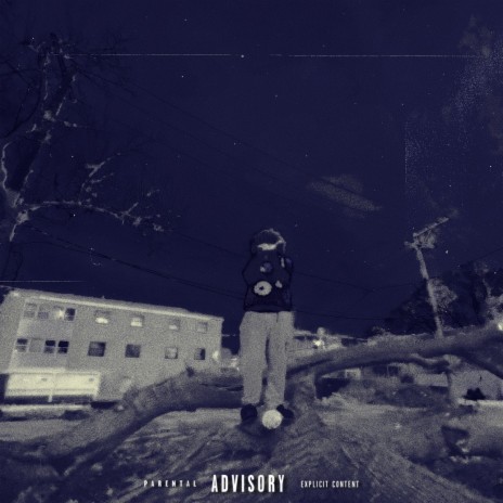 Play It Smart cover art