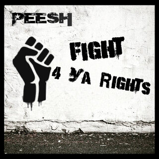 Fight 4 Ya Rights cover art