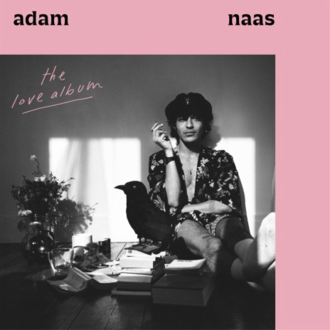 Love Is Never To Blame cover art