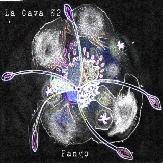 Fango