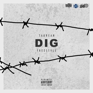 Dig Freestyle cover art