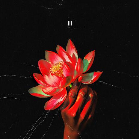 Lotus and Mud Theory III cover art