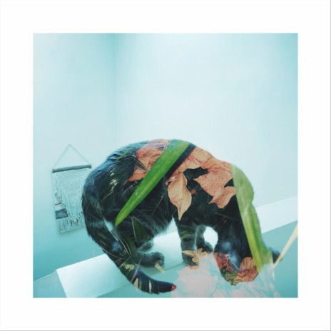 Spice cover art