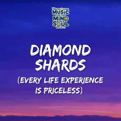 DIAMOND SHARDS (Every life experience is priceless) cover art