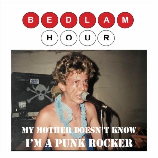 My Mother Doesn't Know I'm a Punk Rocker cover art