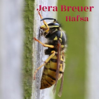 Hafsa