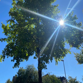 blauer himmel cover art