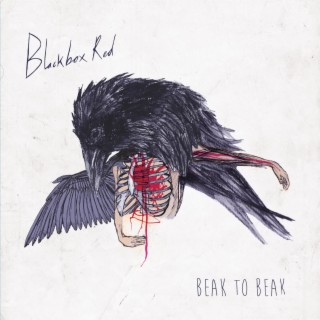 Beak to Beak