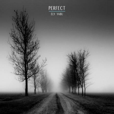 Perfect (Extended Mix) cover art
