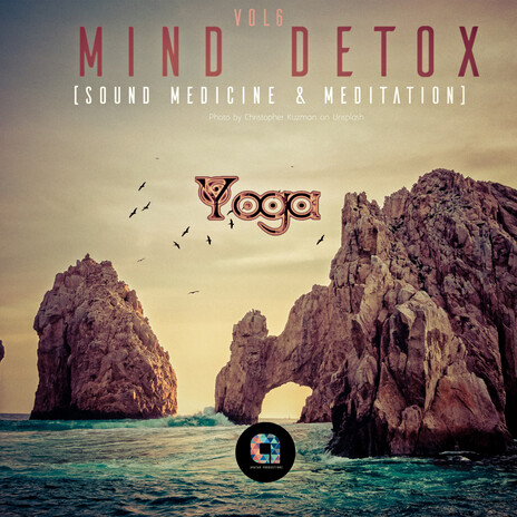 Mental Detox: Starry Night Guided Sleep Meditation ft. Yoga & Yoga Music cover art
