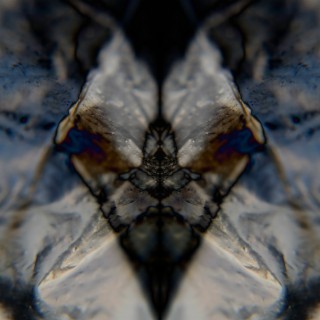 Quantum gravity