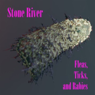 Stone River