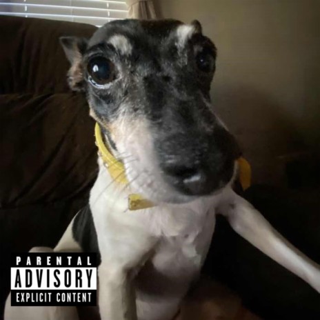 Gettin' Goofy ft. Baby Richey cover art