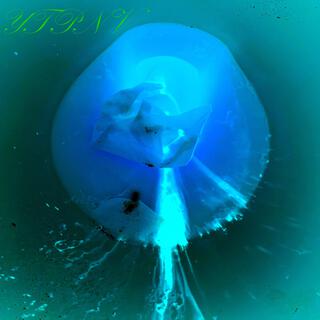 YTPNV