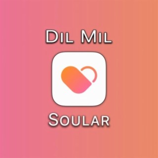 Dil Mil cover art
