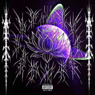 Let's Watch The Lotus Blossom cover art