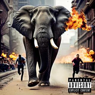 The Elephant In The Room (The Parade Edition)