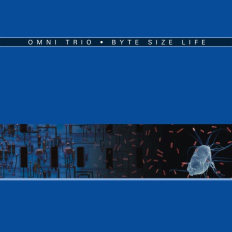 Brothers in Detroit cover art