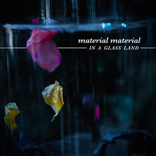 In a Glass Land